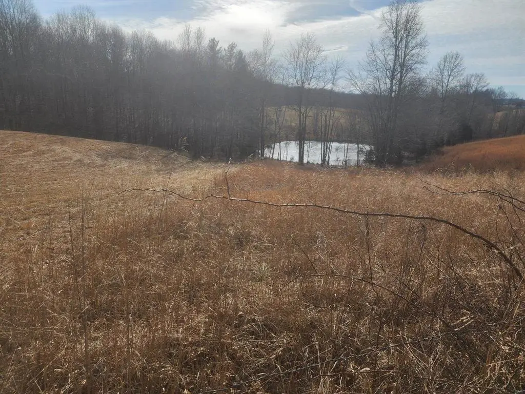 Tract 2 Vine Hill Road, Beaver Dam, KY 42320 - #1