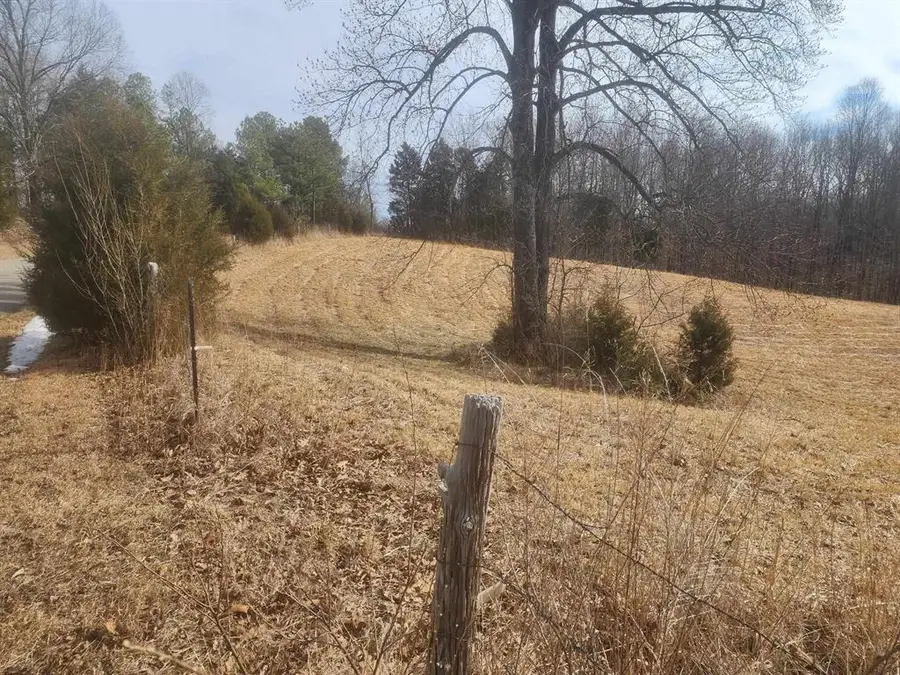 Tract 2 Vine Hill Road, Beaver Dam, KY 42320 - #3