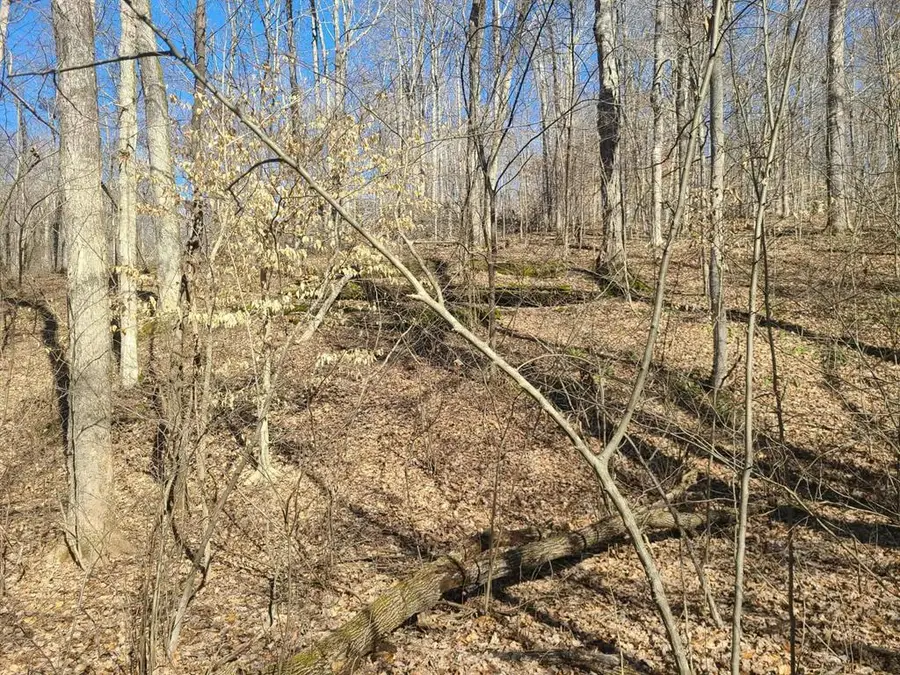 Lot R19 Coppersmith Cove, Eddyville, KY 42038 - #2