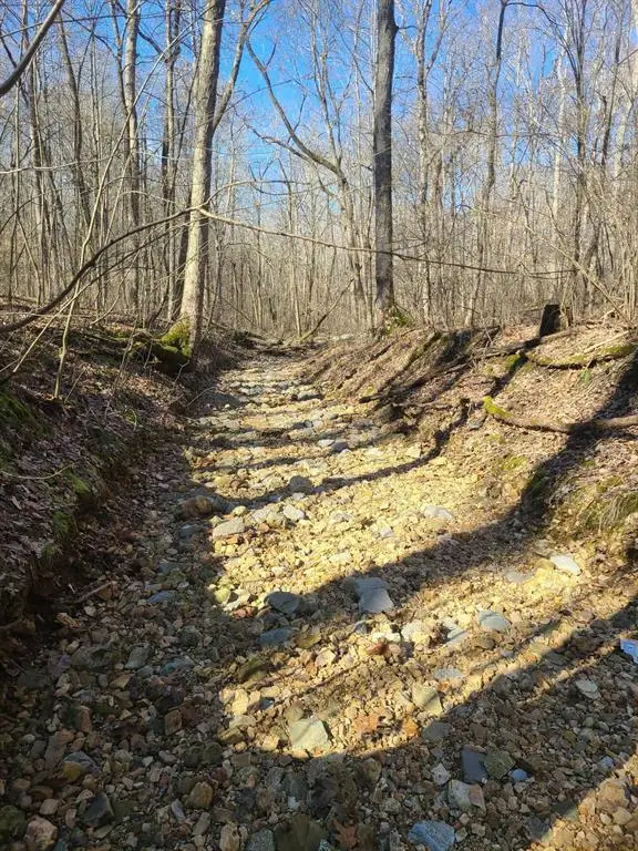 Lot R19 Coppersmith Cove, Eddyville, KY 42038 - #3