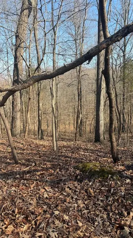 0 Girl Scout Road, Owensboro, KY 42301 - #2