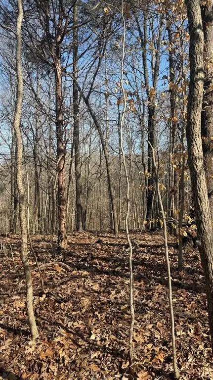 0 Girl Scout Road, Owensboro, KY 42301 - #3