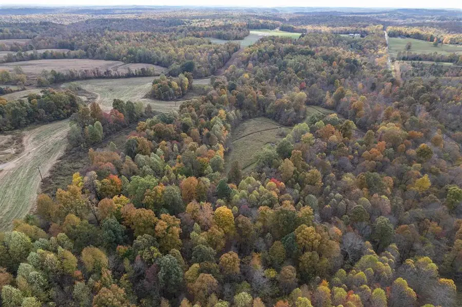 0 Morris Ln, Falls Of Rough, KY 40119 - #3