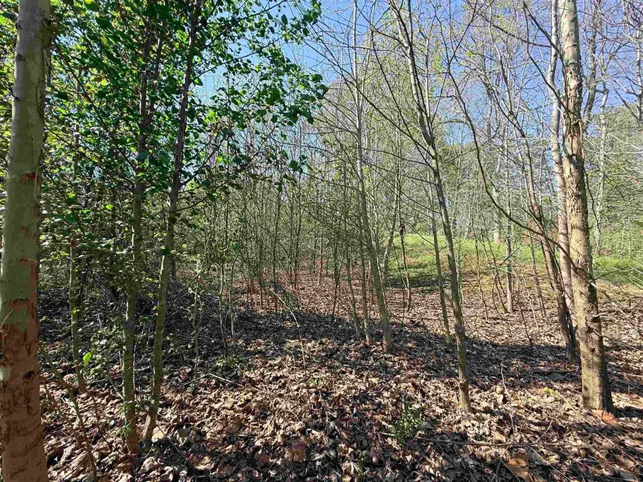 4130 Medley Drive, Owensboro, KY 42301 - #3