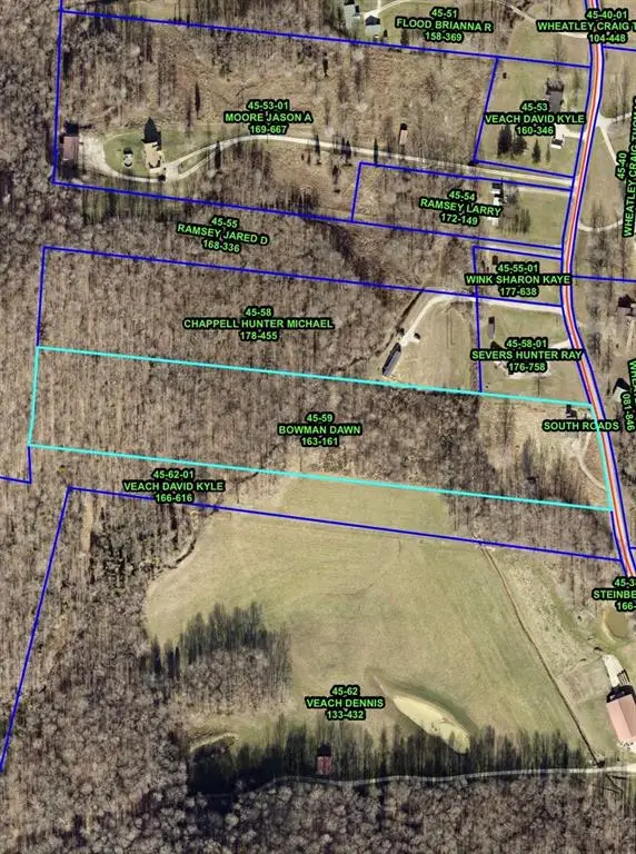 1105 Squirrell Tail Hollow Rd, Hawesville, KY 42348 - #2