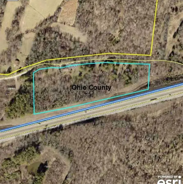 1146 Neafus Rd, Horse Branch, KY 42349