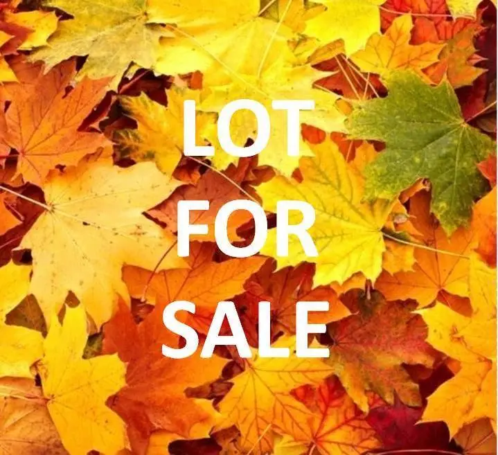 5382 Hwy 60 W, Owensboro, KY 42301 - #2