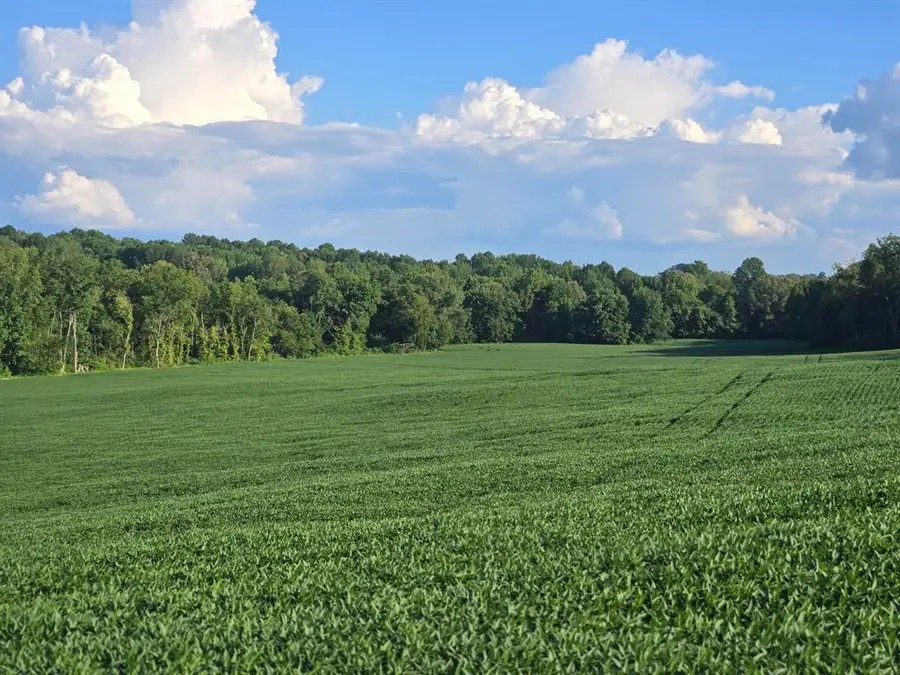 9252 HWY 405, Maceo, KY 42355 - #3