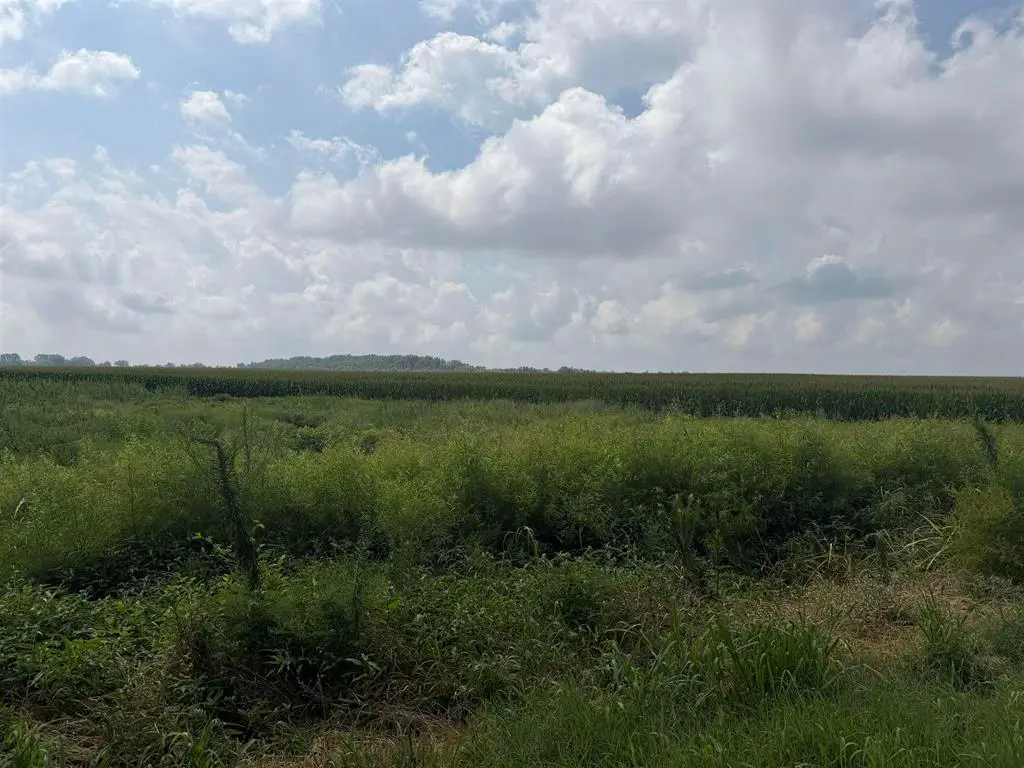 0 Diamond Island Bend, Corydon, KY 42420 - #1