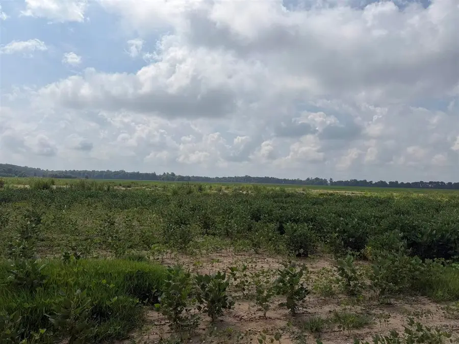 0 Diamond Island Bend, Corydon, KY 42420 - #2