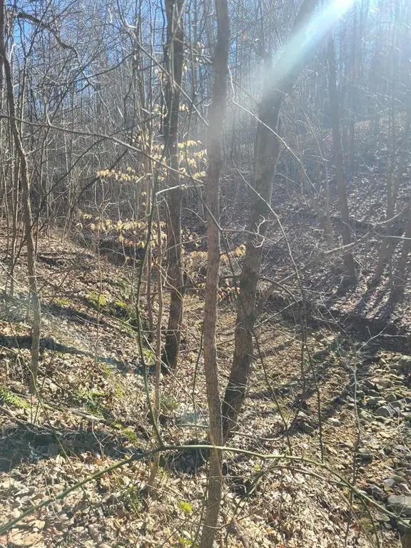 Lot R19 Coppersmith Cove, Eddyville, KY 42038