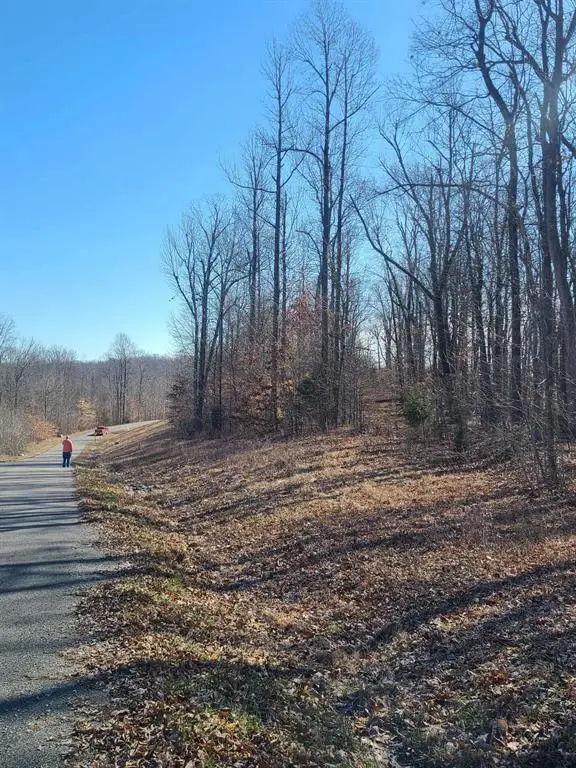 Lot R21 Coppersmith Cove, Eddyville, KY 42038 - #2