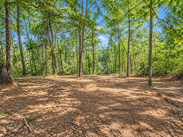 0 Shakerag Rd., Hanson, KY 42412