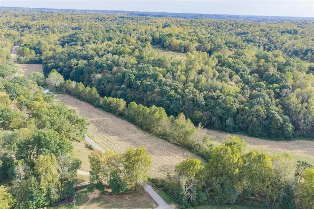 955 Bates Hollow Road, Hawesville, KY 42348-000 - #1