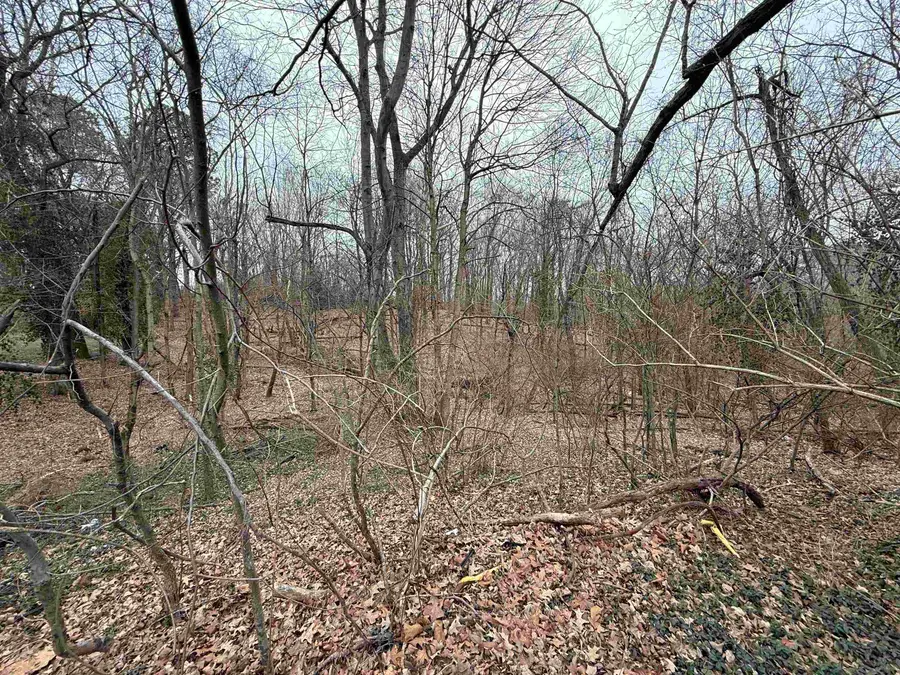 253 US Hwy 41A, Dixon, KY 42409 - #2