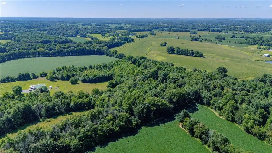 14766 Griffin Graves Creek Rd, Henderson, KY 42420 - #2