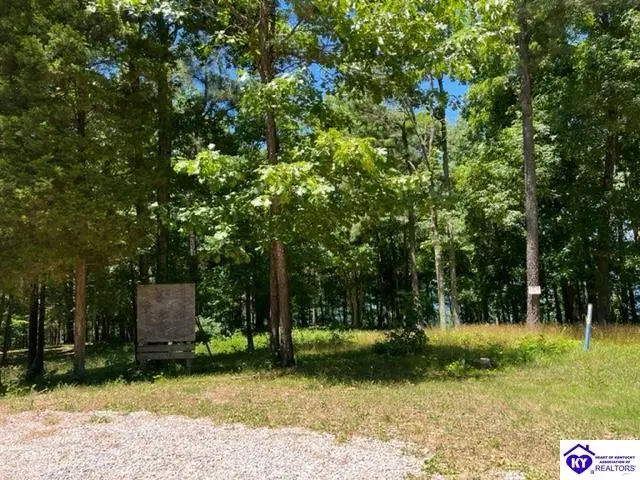 309 Marina Point Lane, Falls Of Rough, KY 40119 - #3