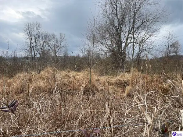 tract 3 May Irby Lane, Cloverport, KY 40111