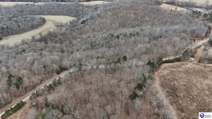 Tract 1 Wand Cemetery Road, Bowling Green, KY 42101 - Image #2