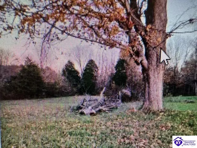 5326 S Dixie Highway, Elizabethtown, KY 42701 - Image #3