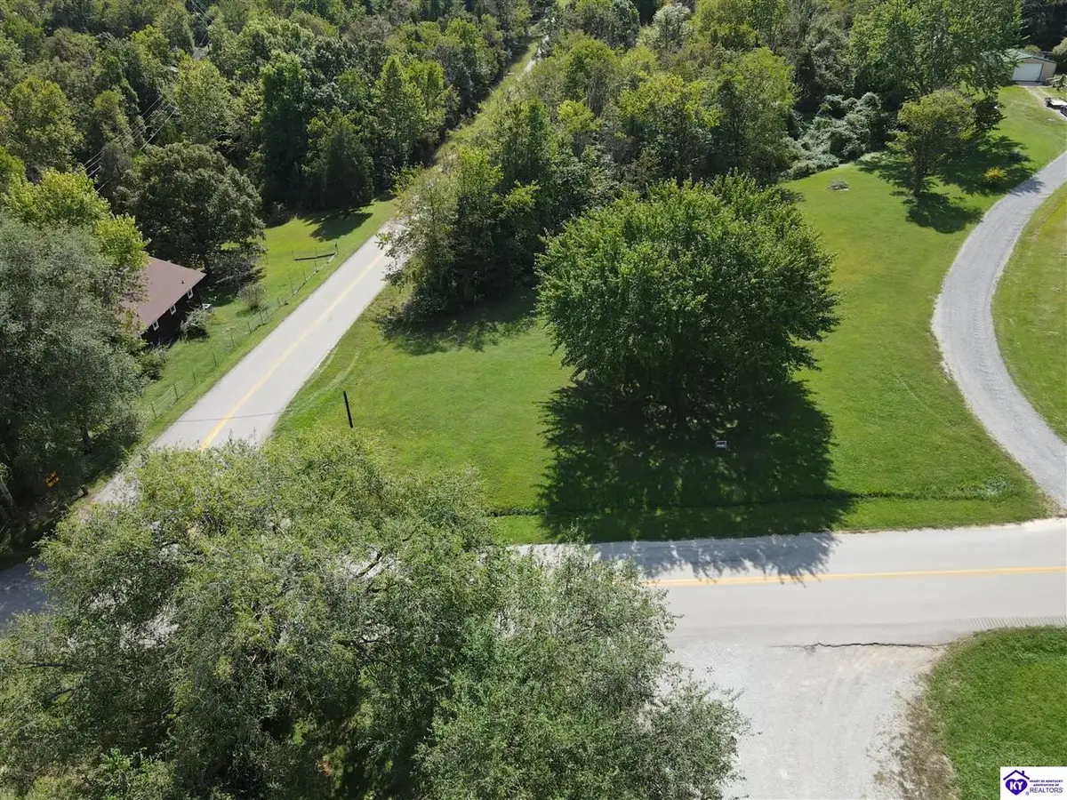 0 Blue Bird Road, Falls Of Rough, KY 40119 - Image #1