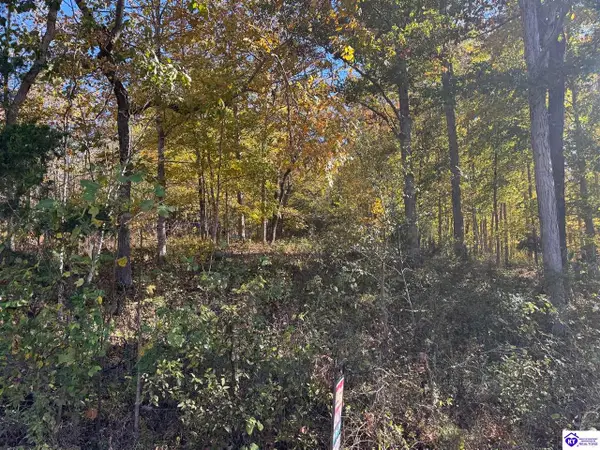 Lot 2 Cann School Lane, Eastview, KY 42732