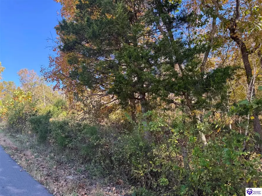 Lot 2 Cann School Lane, Eastview, KY 42732 - Image #2