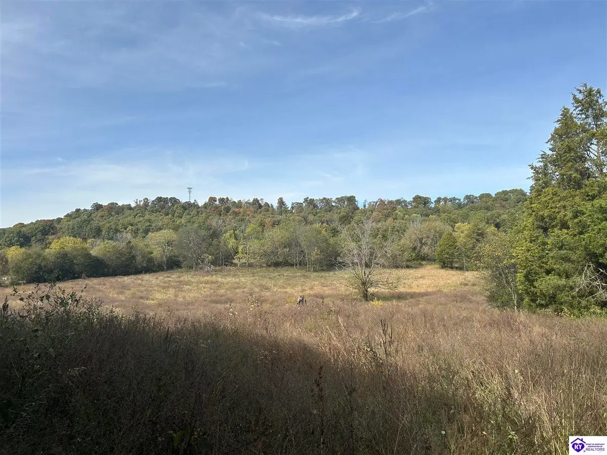 o Knobs Road, Smiths Grove, KY 42171-0000 - Image #1