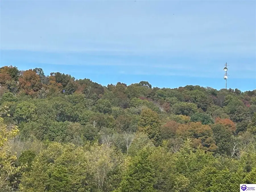 o Knobs Road, Smiths Grove, KY 42171-0000 - Image #2