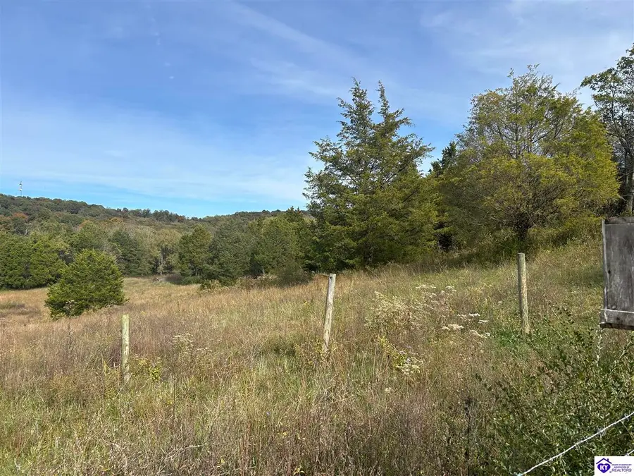 o Knobs Road, Smiths Grove, KY 42171-0000 - Image #3