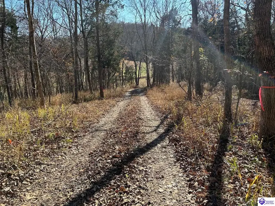 475 Ashby Lane, Custer, KY 40115 - Image #3