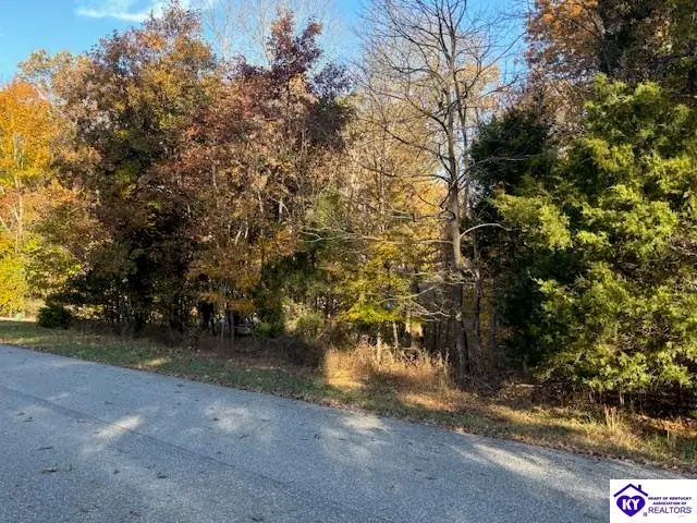 Lot 508 Cardinal Point Road, Brandenburg, KY 40108 - Image #2