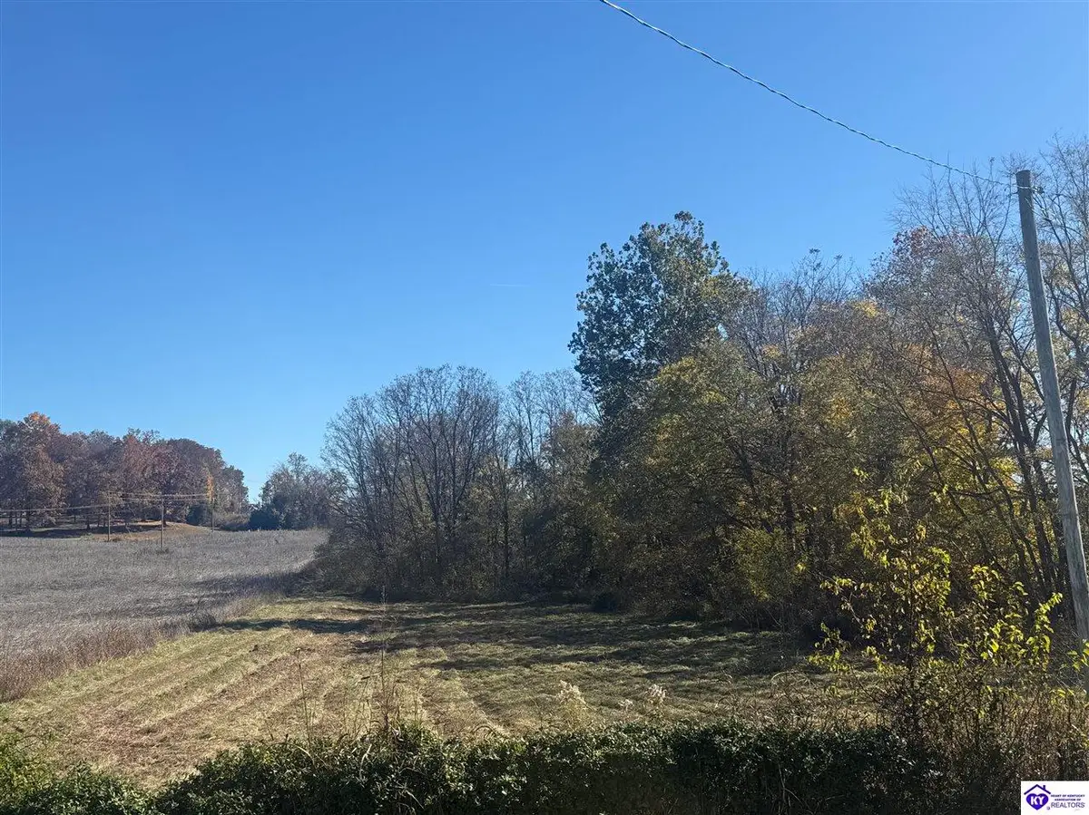 Lot #4 Highway 60, Guston, KY 40142 - Image #1