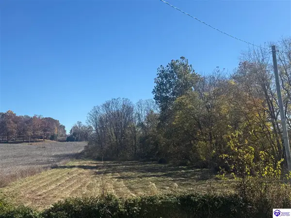 Lot #4 Highway 60, Guston, KY 40142