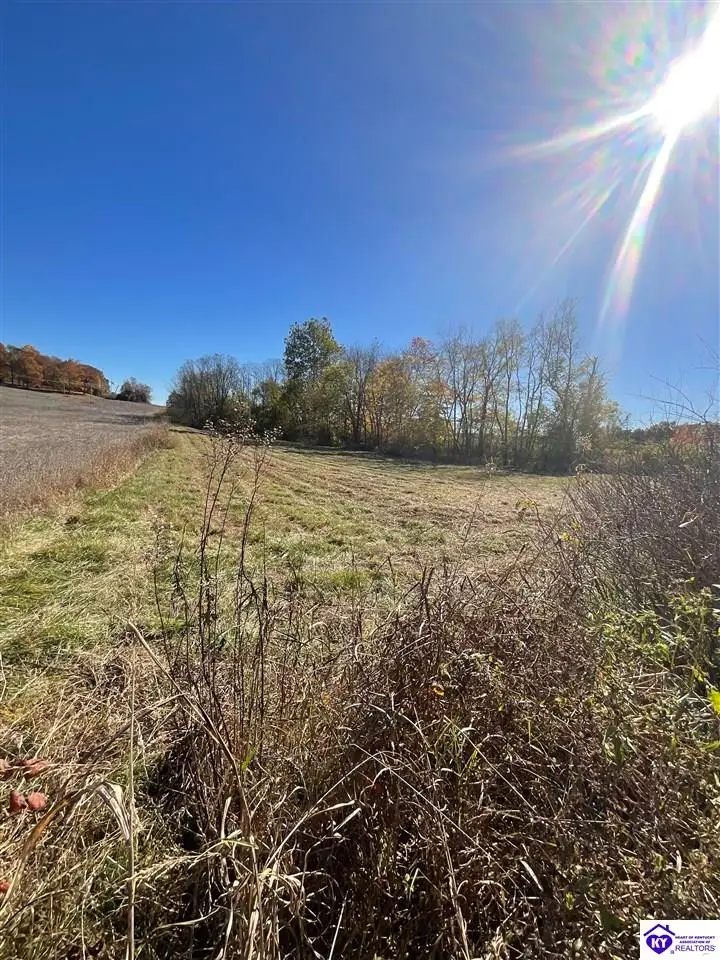 Lot #4 Highway 60, Guston, KY 40142 - Image #3