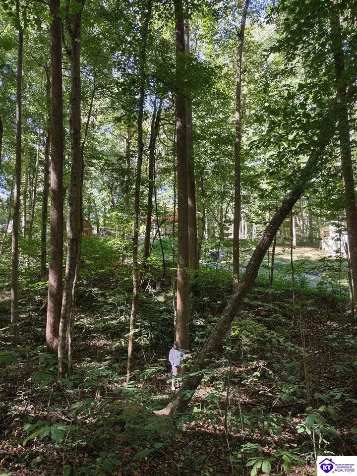 71 Bull Frog Trail, Scottsville, KY 42164 - Image #1