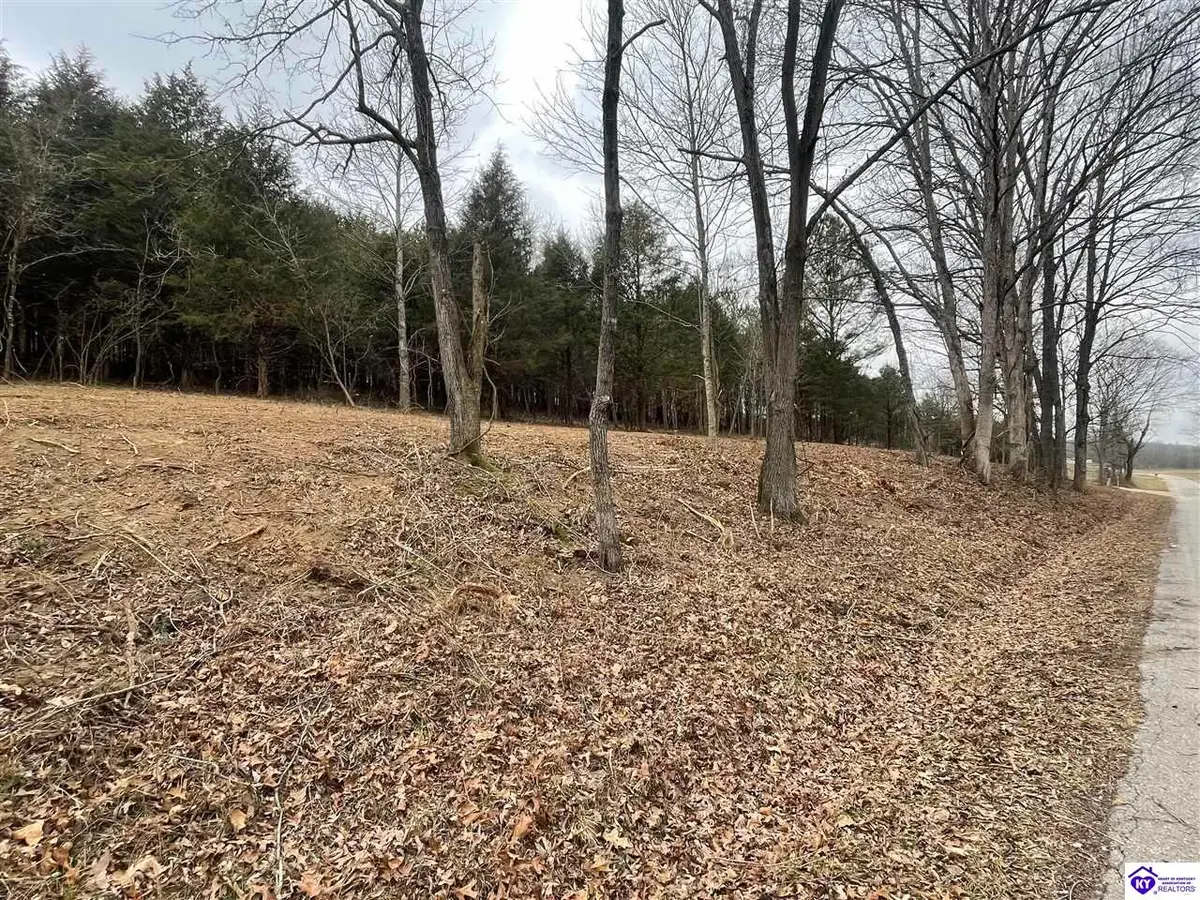 Lot 4a Concord Church Road, Bonnieville, KY 42713 - Image #1