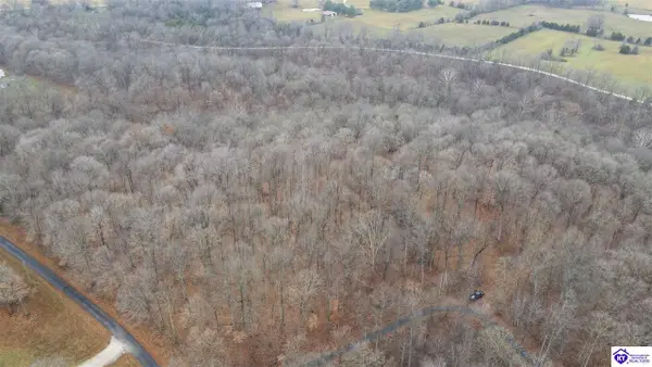 Lot 1 Vinson Road, Brandenburg, KY 40108