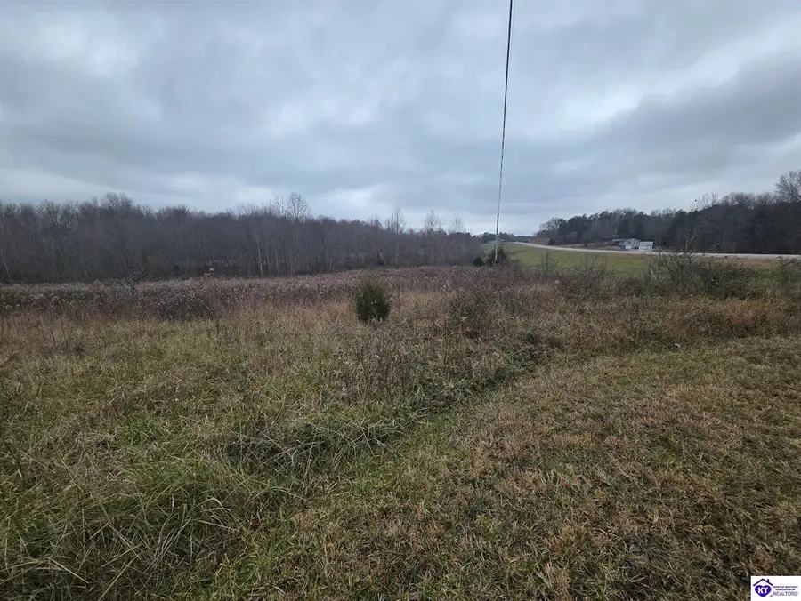 12145 Hodgenville Road, Campbellsville, KY 42718 - Image #3