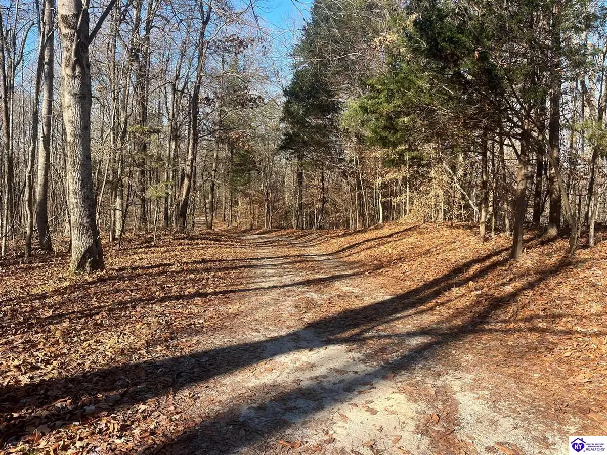 2 S Otter Creek Road, Buffalo, KY 42716 - Image #1