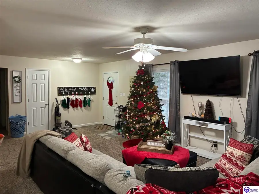 272 Lakeview Drive, Brandenburg, KY 40108 - Image #3