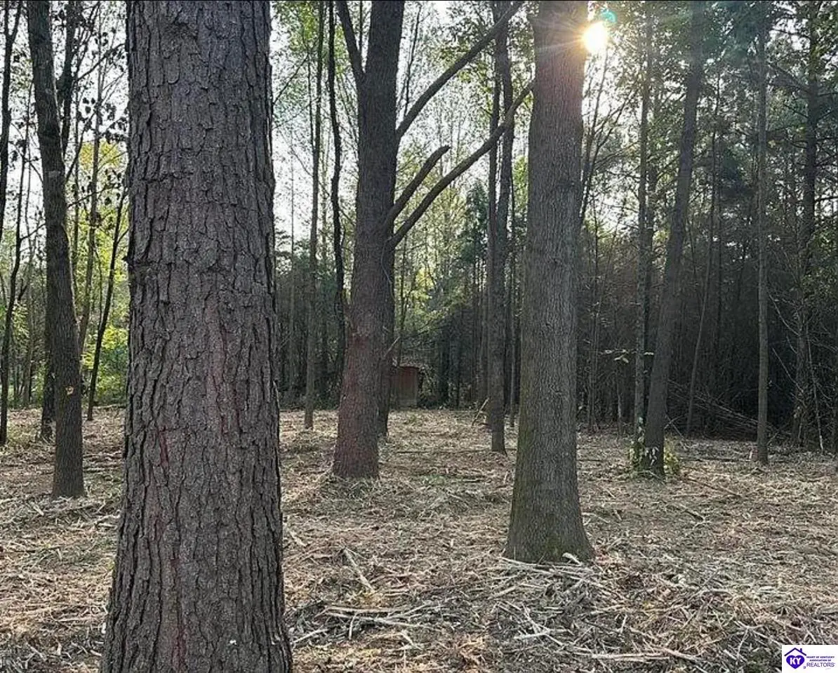 133 Sassy Ct, Campbellsville, KY 42718 - #1