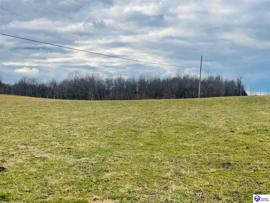 0 Hardyville Road, Hardyville, KY 42746 - Image #3