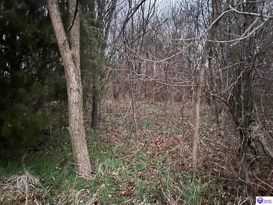 3.3AC Hedgepeth Road, Canmer, KY 42722 - Image #3