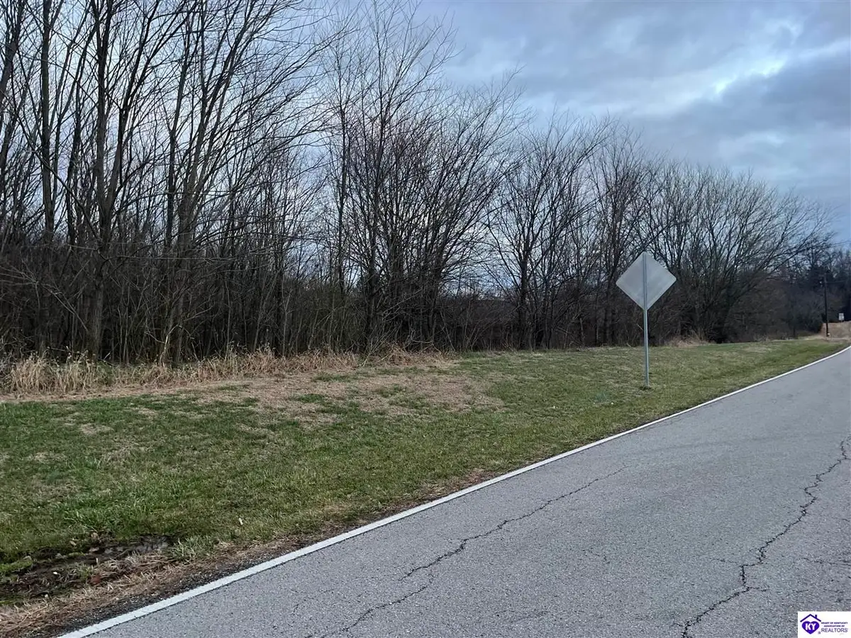1.99AC Hedgepeth Road, Canmer, KY 42722 - Image #1