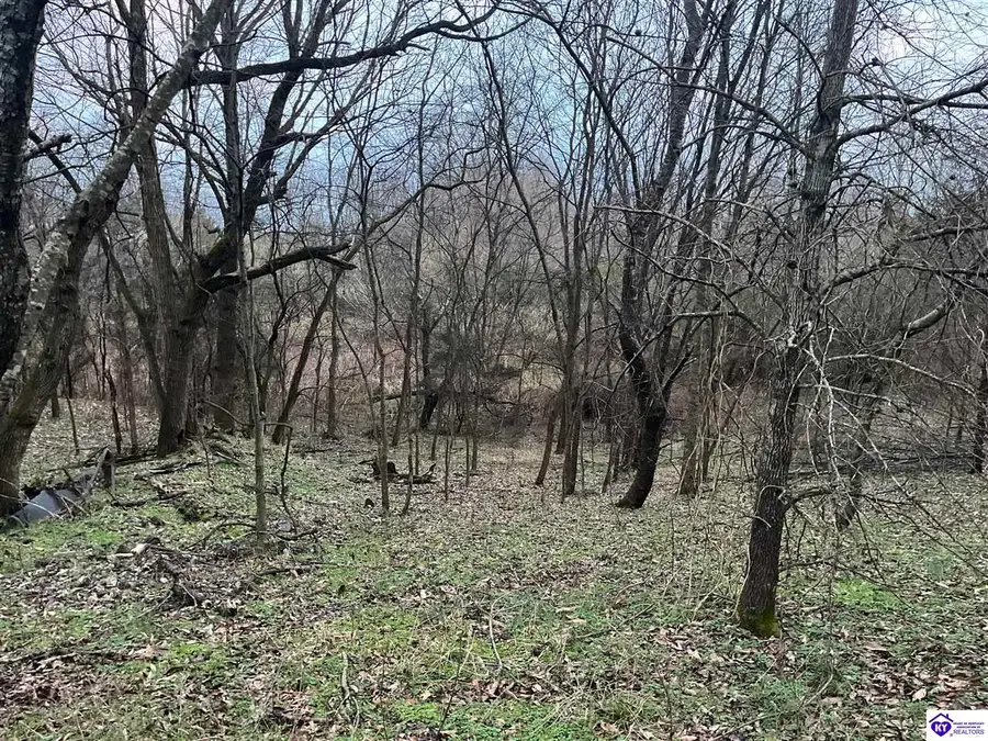 1.99AC Hedgepeth Road, Canmer, KY 42722 - Image #2