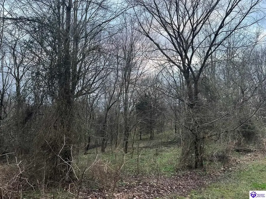 1.99AC Hedgepeth Road, Canmer, KY 42722 - Image #3
