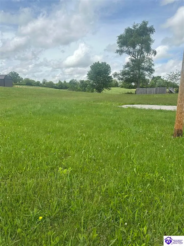 230 Diamond Court, Vine Grove, KY 40175 - #3