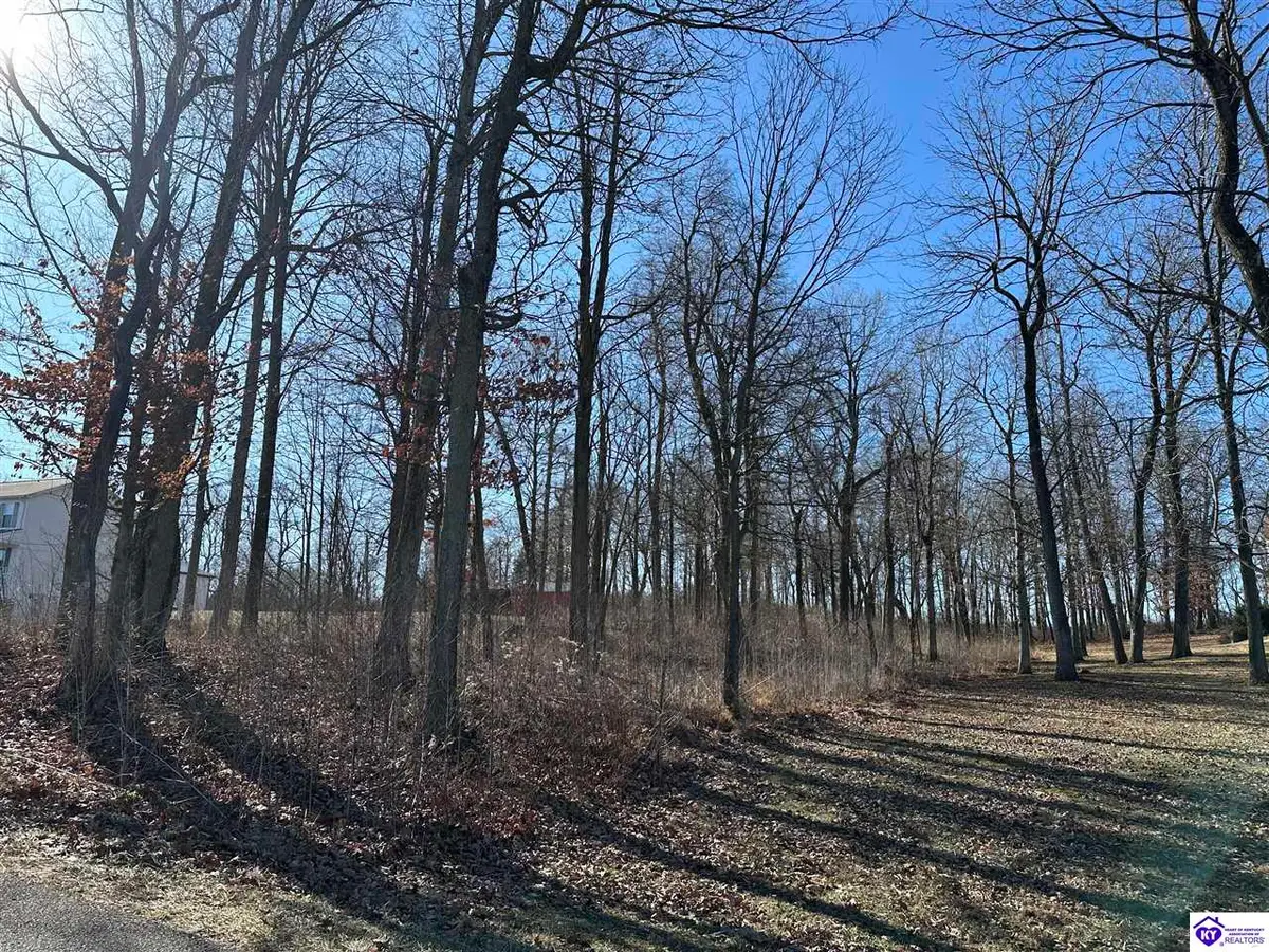 14 Buck Knobs Road, Ekron, KY 40117 - #1