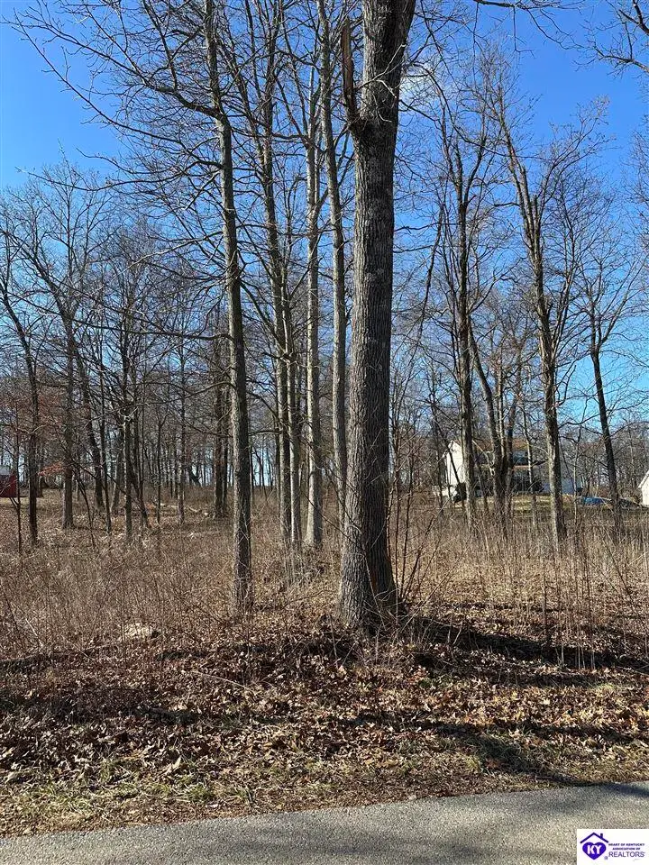 14 Buck Knobs Road, Ekron, KY 40117 - #3